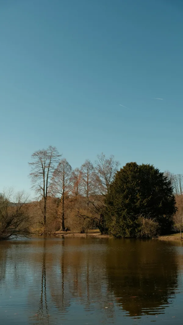 Lac paisible entouré d’arbres sous ciel bleu