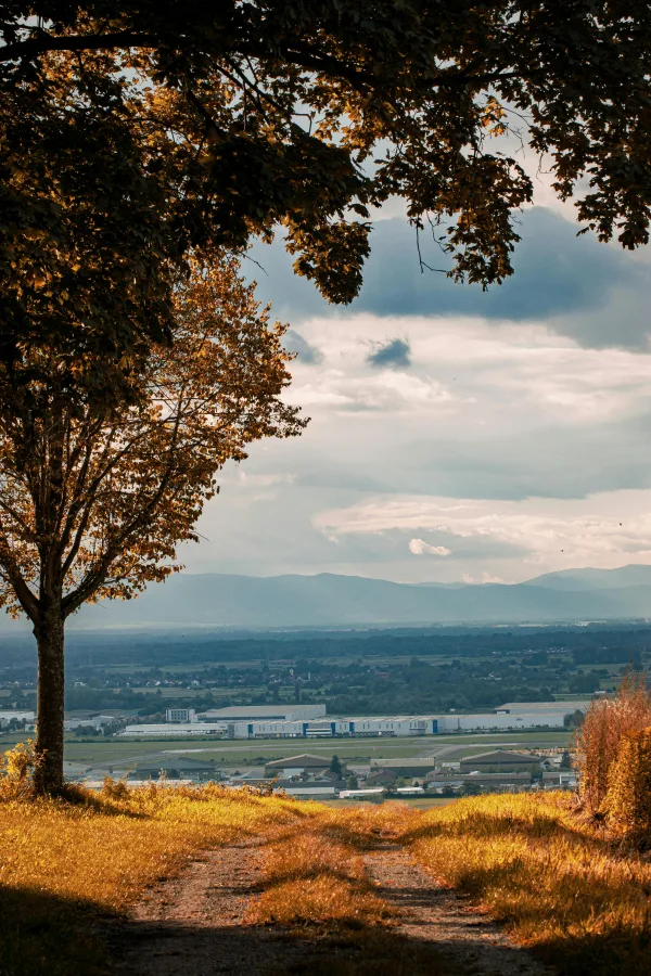 Chemin champêtre avec vue panoramique sur vallée