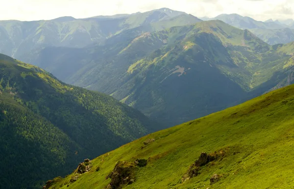 Paysage de montagnes verdoyantes sous une lumière naturelle