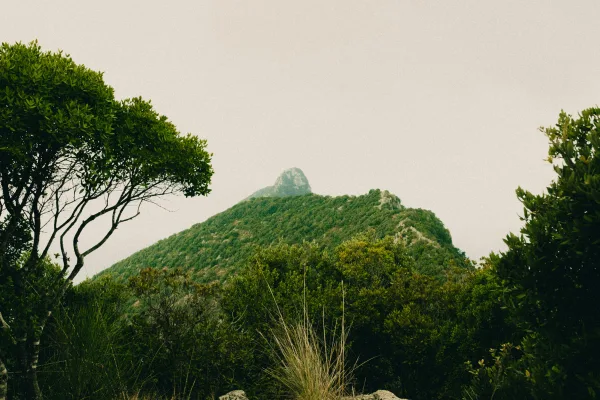 Montagne verdoyante entourée de forêt tropicale et nature sauvage