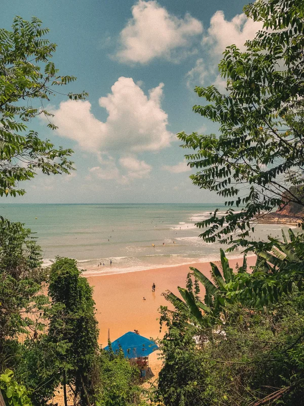 Vue tropicale sur une plage paradisiaque entourée de végétation