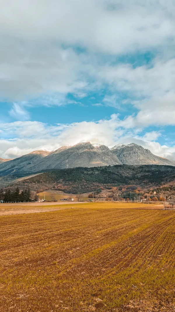 Champ doré devant des montagnes enneigées sous un ciel nuageux