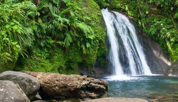 Cascade tropicale entourée de végétation luxuriante