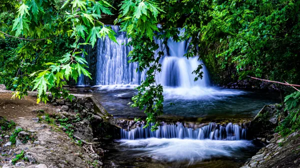 Cascade naturelle au cœur d’une forêt verdoyante