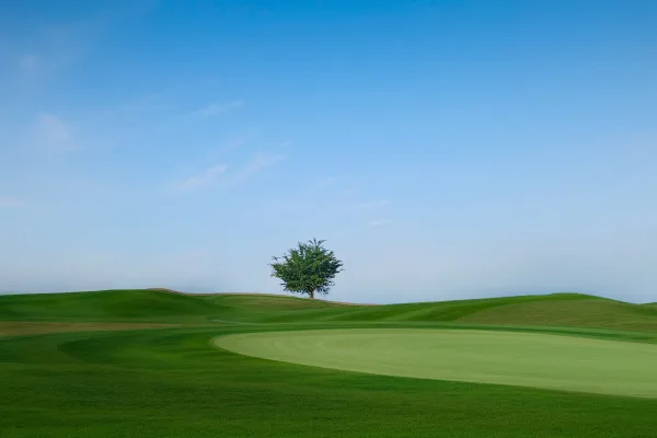 Parcours de golf verdoyant sous un ciel bleu – Paysage sportif et nature