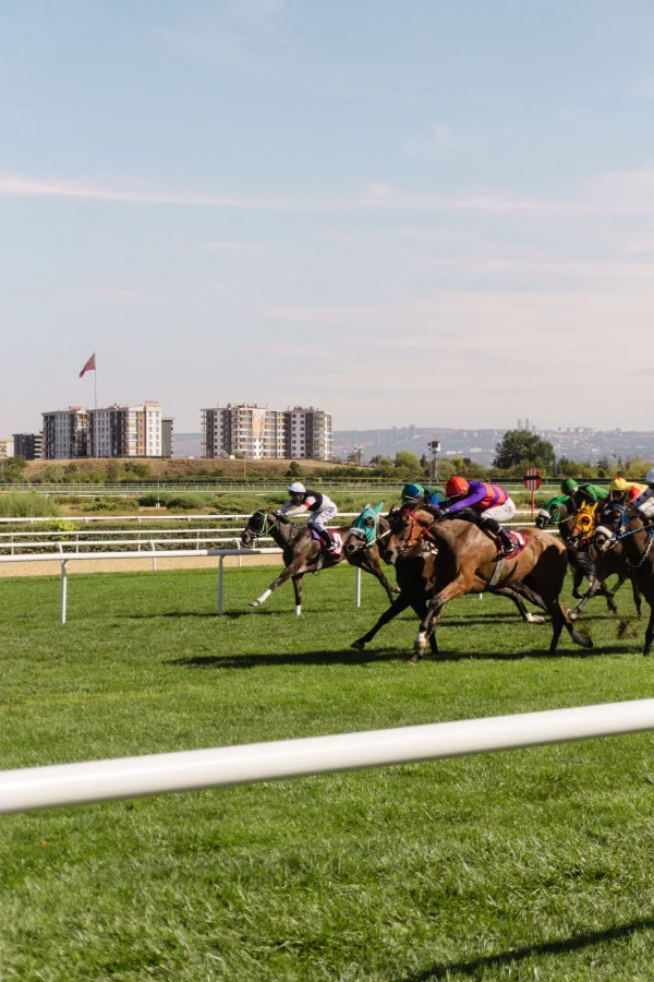 Course hippique sur gazon avec jockeys en pleine compétition