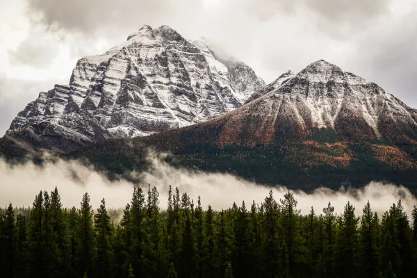 Montagnes enneigées et forêt de conifères dans la brume