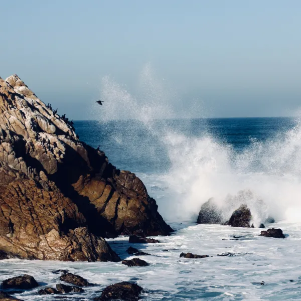 Vagues puissantes s’écrasant sur des rochers en bord d’océan
