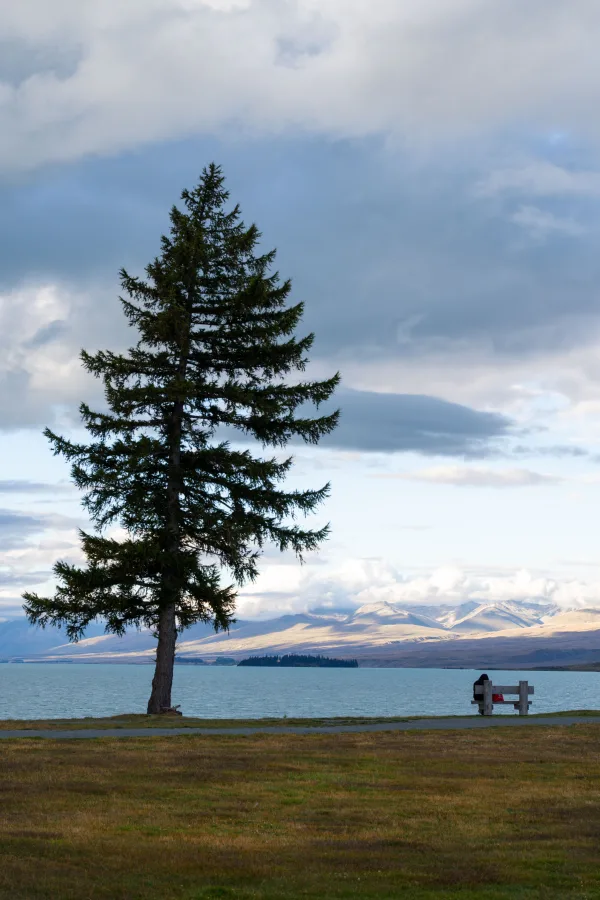 Arbre solitaire au bord d’un lac avec montagnes en arrière-plan