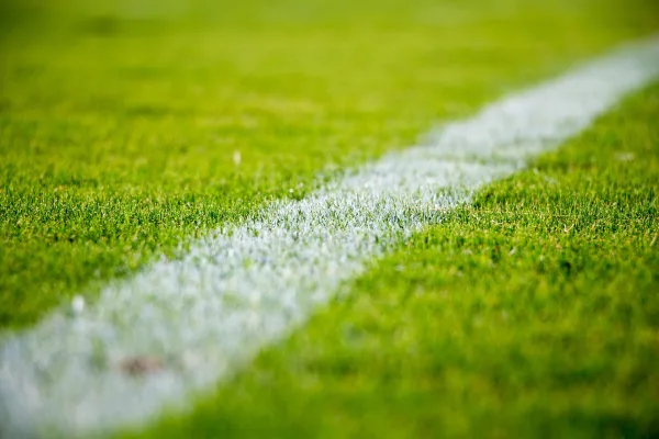 Ligne blanche sur pelouse de football – Terrain de football en gros plan