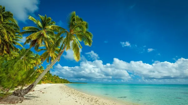 Plage tropicale paradisiaque avec palmiers et eau turquoise sous un ciel bleu