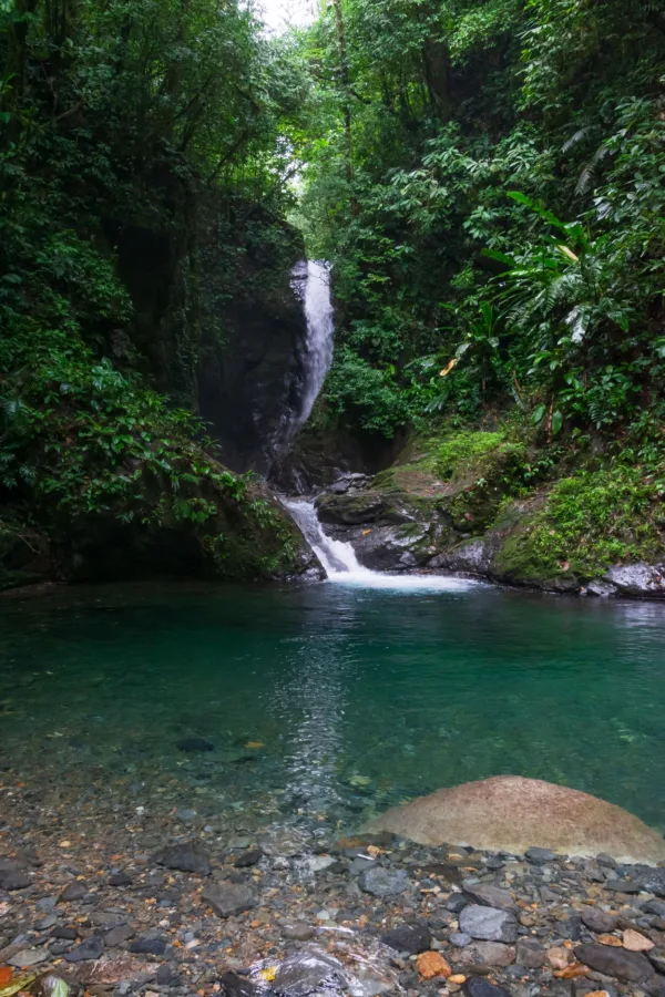 Cascade tropicale et bassin d'eau cristalline en pleine forêt