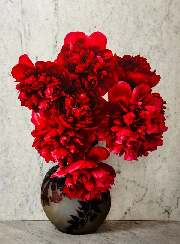 Bouquet de pivoines rouges dans un vase décoratif sur fond de marbre